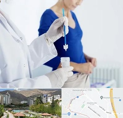 آزمایشگاه پاپ اسمیر در شهر زیبا 