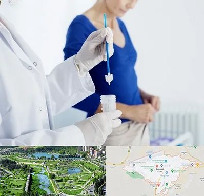 آزمایشگاه پاپ اسمیر در بجنورد