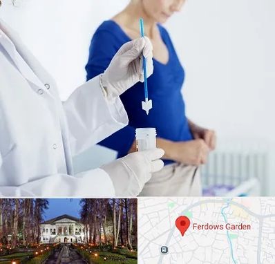 آزمایشگاه پاپ اسمیر در باغ فردوس