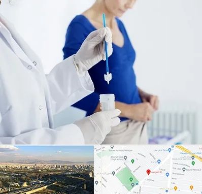 آزمایشگاه پاپ اسمیر در هنگام 