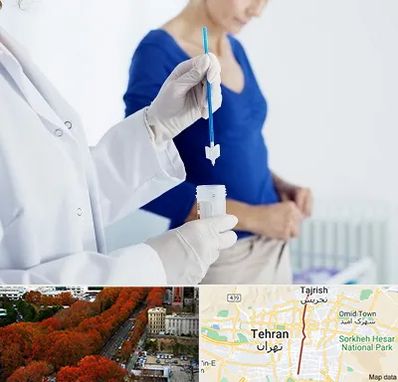 آزمایشگاه پاپ اسمیر در ولیعصر 