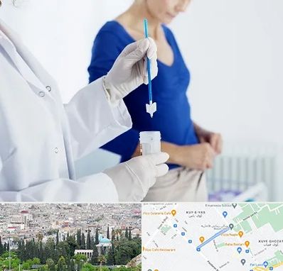 آزمایشگاه پاپ اسمیر در محلاتی شیراز