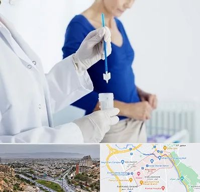 آزمایشگاه پاپ اسمیر در معالی آباد شیراز