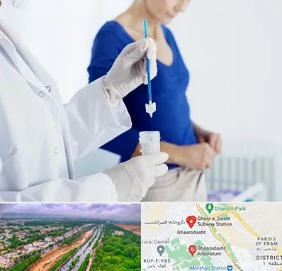 آزمایشگاه پاپ اسمیر در قصرالدشت شیراز