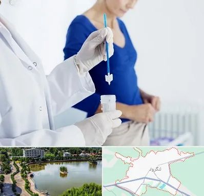 آزمایشگاه پاپ اسمیر در لنگرود