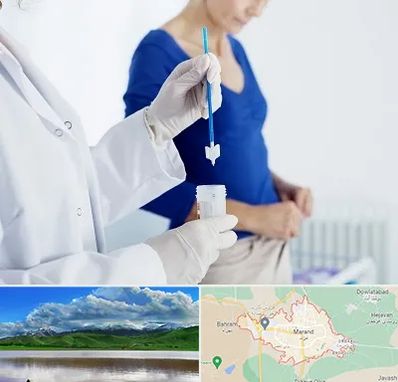 آزمایشگاه پاپ اسمیر در مرند