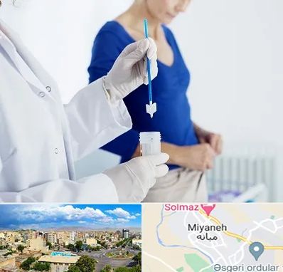 آزمایشگاه پاپ اسمیر در میانه