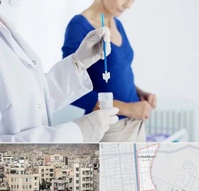 آزمایشگاه پاپ اسمیر در اسکندری