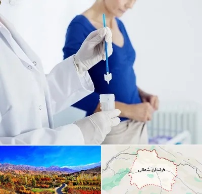 آزمایشگاه پاپ اسمیر در خراسان شمالی