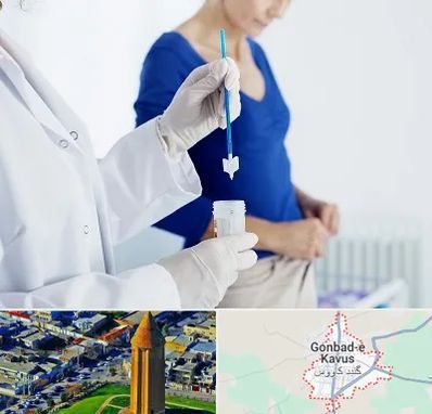 آزمایشگاه پاپ اسمیر در گنبد کاووس