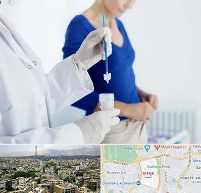 آزمایشگاه پاپ اسمیر در گیشا 