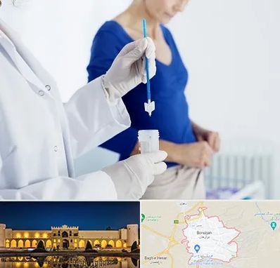 آزمایشگاه پاپ اسمیر در برازجان