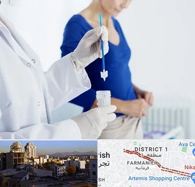 آزمایشگاه پاپ اسمیر در فرمانیه 