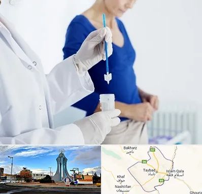 آزمایشگاه پاپ اسمیر در تایباد