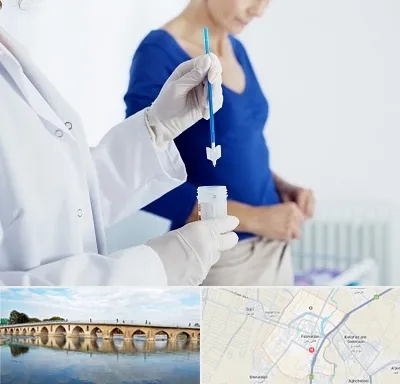 آزمایشگاه پاپ اسمیر در فلاورجان