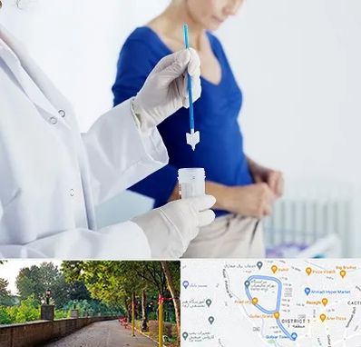 آزمایشگاه پاپ اسمیر در فلکه گاز رشت