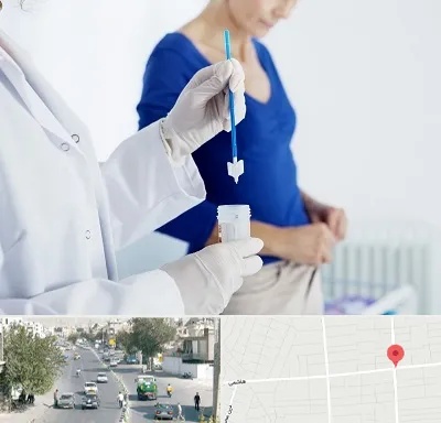 آزمایشگاه پاپ اسمیر در هاشمی