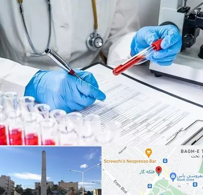 آزمایشگاه اعتیاد در فلکه گاز شیراز
