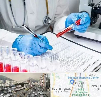 آزمایشگاه اعتیاد در پونک 