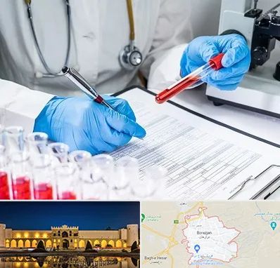 آزمایشگاه اعتیاد در برازجان