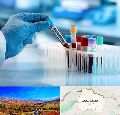 آزمایشگاه خون قبل از ازدواج در خراسان شمالی