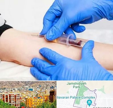 آزمایشگاه ازدواج در نیاوران 