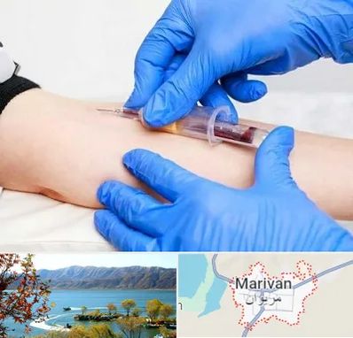 آزمایشگاه ازدواج در مریوان