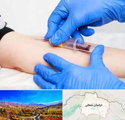آزمایشگاه ازدواج در خراسان شمالی