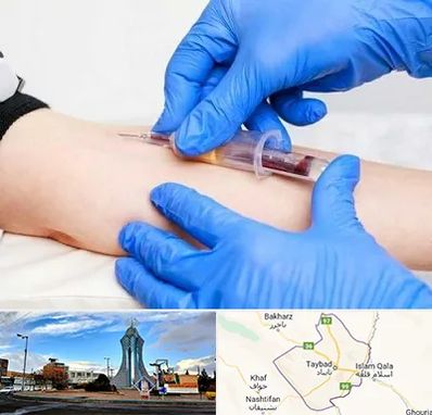 آزمایشگاه ازدواج در تایباد