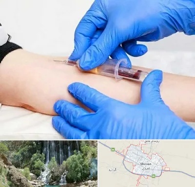 آزمایشگاه ازدواج در شیروان