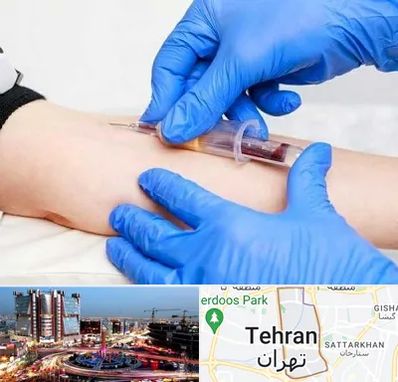 آزمایشگاه ازدواج در صادقیه 