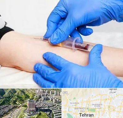 آزمایشگاه ازدواج در شمال تهران 