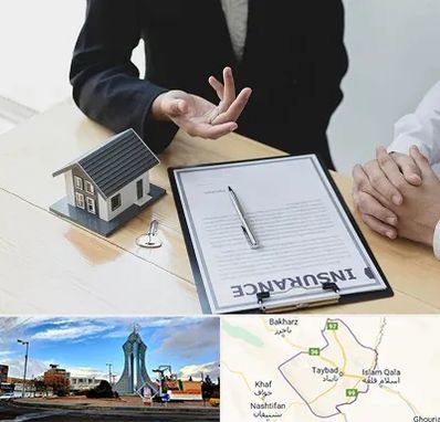 وکیل بیمه در تایباد