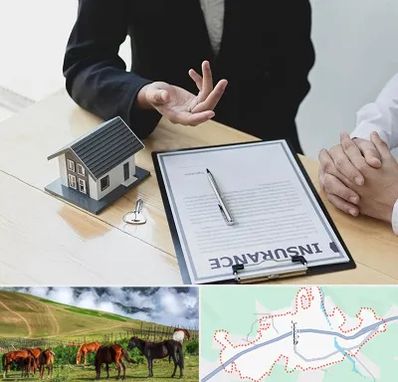 وکیل بیمه در تالش