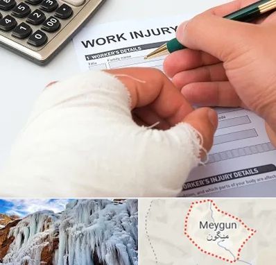 وکیل دیه در میگون