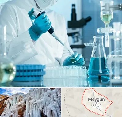 آزمایشگاه 24 ساعته در میگون