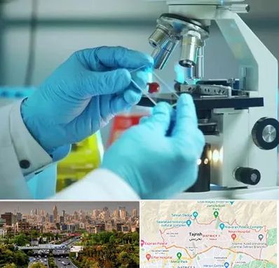 آزمایشگاه با جواب فوری در منطقه 1 تهران 
