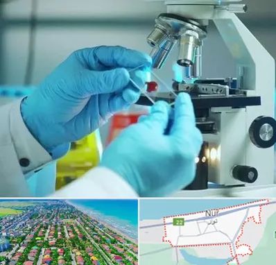 آزمایشگاه با جواب فوری در نور
