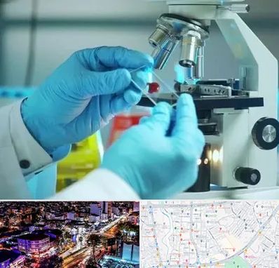 آزمایشگاه با جواب فوری در منظریه رشت