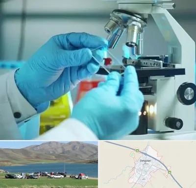 آزمایشگاه با جواب فوری در دهگلان