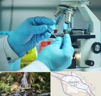 آزمایشگاه با جواب فوری در الیگودرز