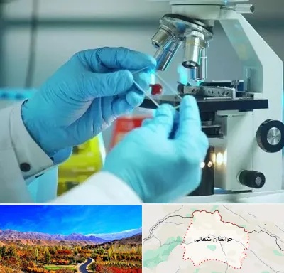 آزمایشگاه با جواب فوری در خراسان شمالی