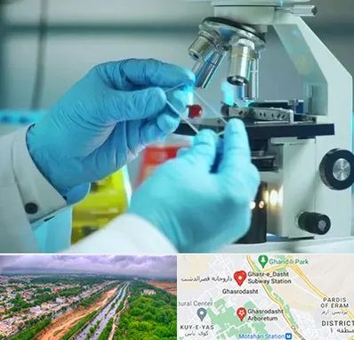 آزمایشگاه با جواب فوری در قصرالدشت شیراز