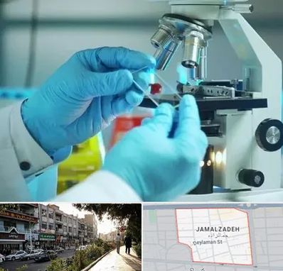 آزمایشگاه با جواب فوری در خیابان جمالزاده