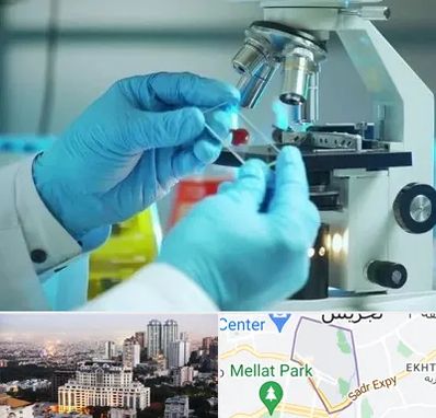 آزمایشگاه با جواب فوری در الهیه 