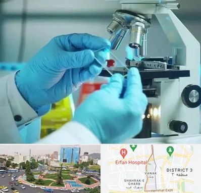 آزمایشگاه با جواب فوری در ونک 