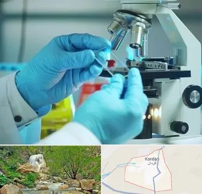 آزمایشگاه با جواب فوری در کردان