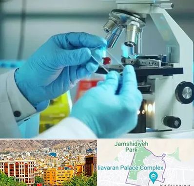 آزمایشگاه با جواب فوری در نیاوران 