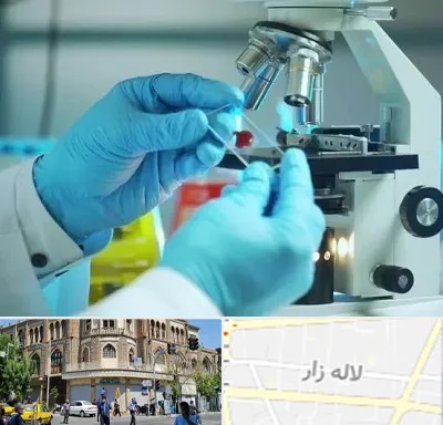 آزمایشگاه با جواب فوری در لاله زار