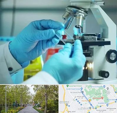 آزمایشگاه با جواب فوری در قدوسی غربی شیراز